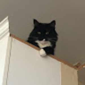 Meet your Posher, Erin